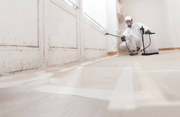 24/7 Emergency Attic Mold Remediation experts in Kenilworth, IL